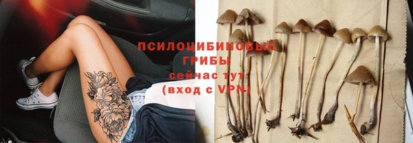 твердый Дмитровск