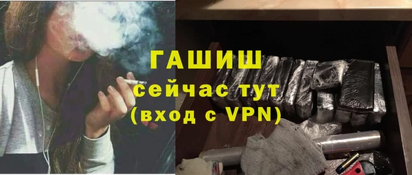 твердый Дмитровск