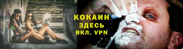 твердый Дмитровск