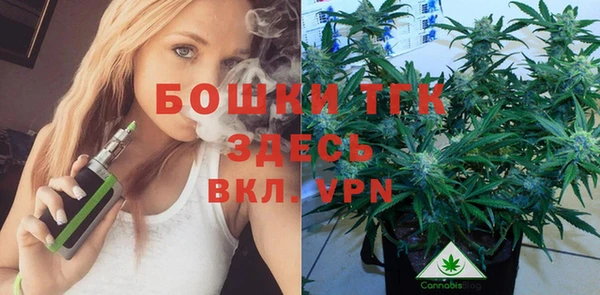 твердый Дмитровск