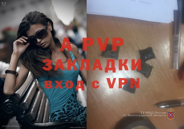 твердый Дмитровск