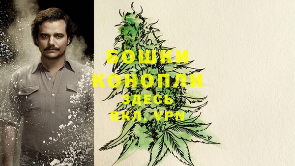 соль курить ск Дмитриев