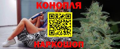 гидропоника Дубна