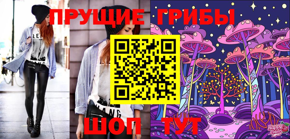 Галлюциногенные грибы прущие грибы Славянск-на-Кубани