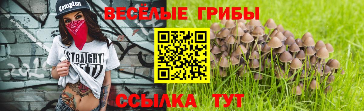 Псилоцибиновые грибы Psilocybine cubensis  где можно купить наркотик  Вход с VPN  Славянск-на-Кубани  Галлюциногенные грибы прущие грибы 
